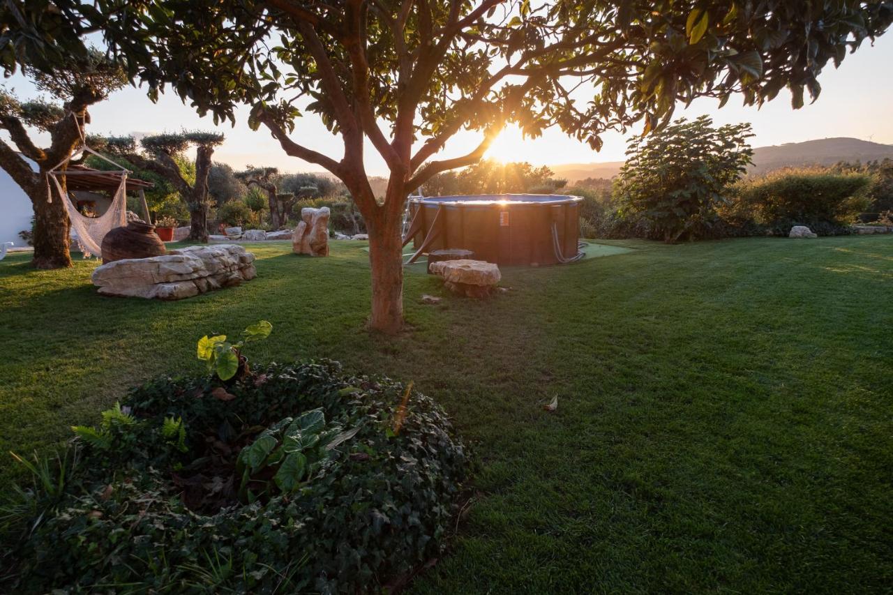Vila Casas Alfaiate Alvorge Exteriér fotografie
